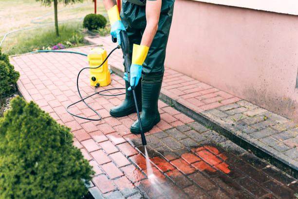 Best Warehouse Cleaning  in Bourg, LA