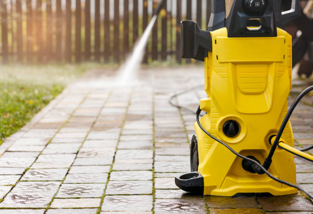 Best Roof Washing  in Bourg, LA